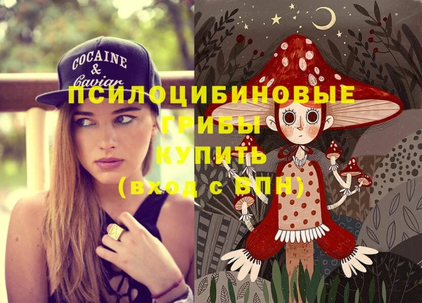 spice Каменногорск