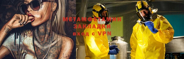 прущие грибы Каменка