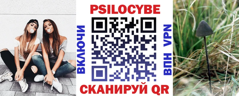 Псилоцибиновые грибы Psilocybine cubensis  дарнет шоп  Красноярск 